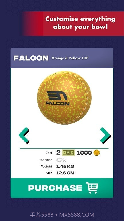 虚拟室内球截图1 虚拟室内球截图1