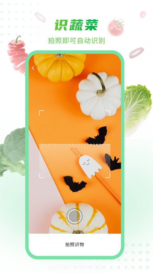 有机蔬菜大全截图1