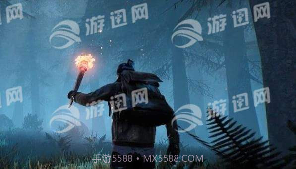 孤岛精英截图4 孤岛精英截图4