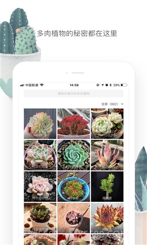 花兮截图2 花兮截图2