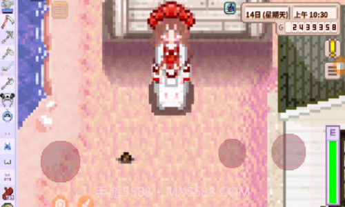 星露谷物语法师结婚mod截图1