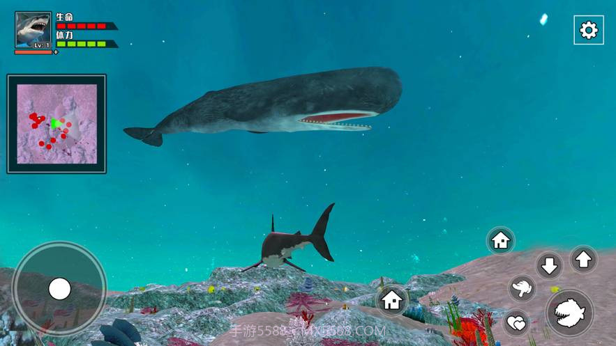 3D海底大猎杀-饥饿鲨截图3 3D海底大猎杀-饥饿鲨截图3
