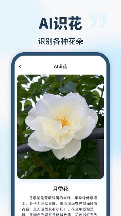 ailab识别截图2 ailab识别截图2