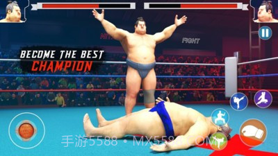 日本相扑赛截图2