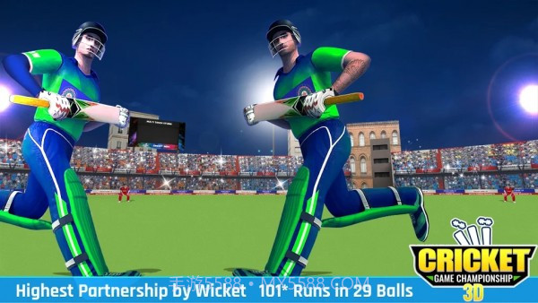 板球比赛冠军3D截图3