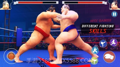 日本相扑赛截图1