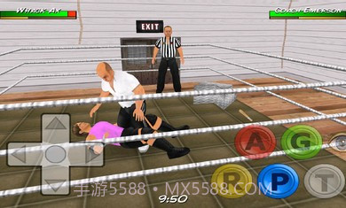 摔角革命3D修改版截图2