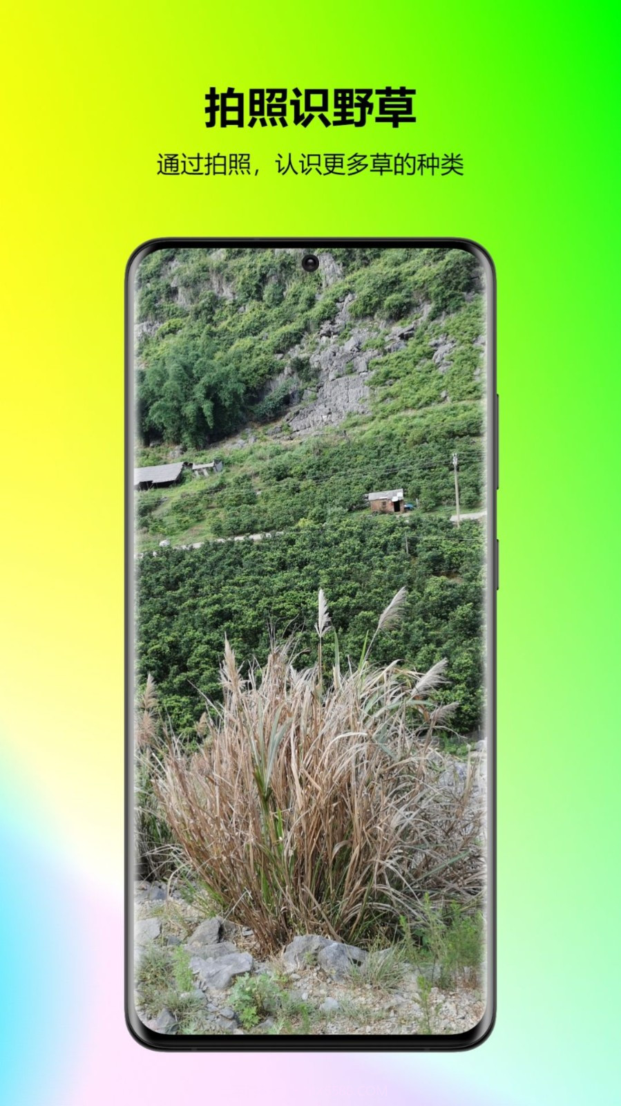 万能拍照识花截图3 万能拍照识花截图3