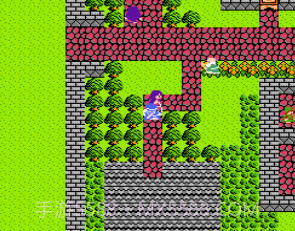 fc勇者斗恶龙3截图3