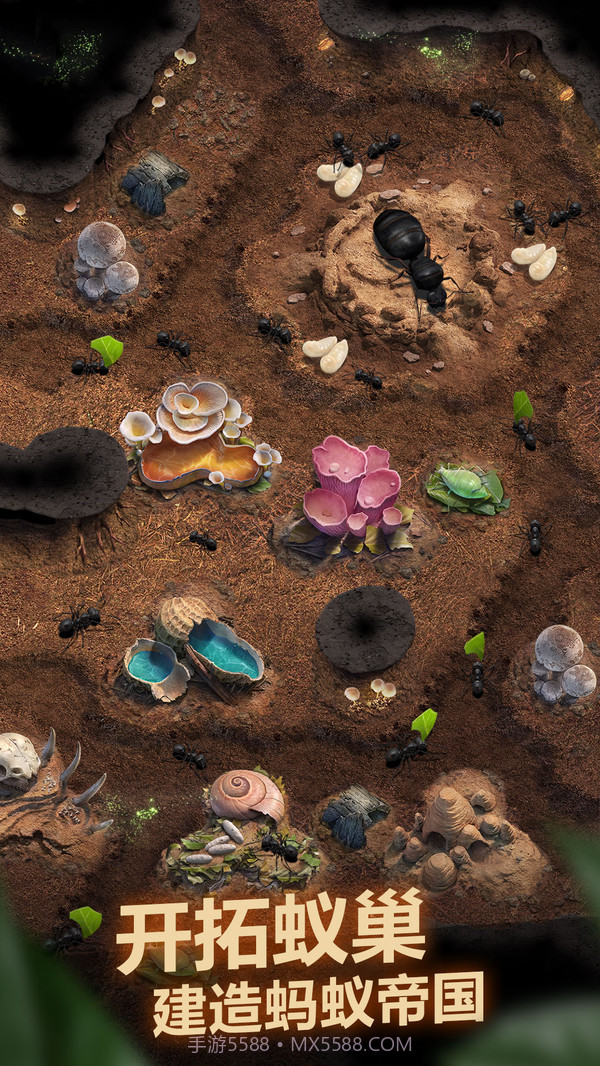 小小蚁国截图2