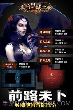 暗黑城主单机版截图1