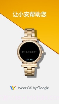 WearOSbyGoogle最新版截图3