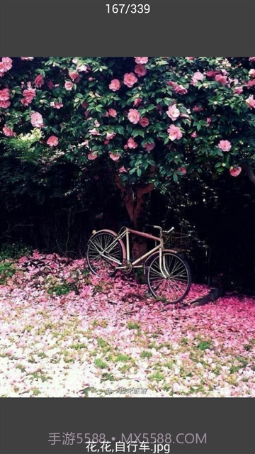 All图片批量下载截图3