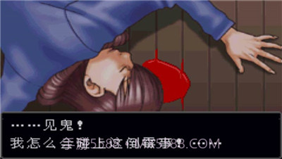 逆转裁判7截图3