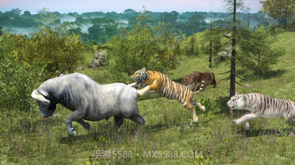 野生老虎模拟器官网版截图2 野生老虎模拟器官网版截图2