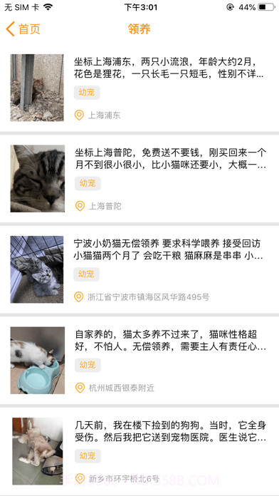 宠爱社安卓截图3