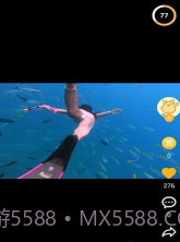 速问视频截图1 速问视频截图1