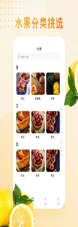 水果图片大全截图2