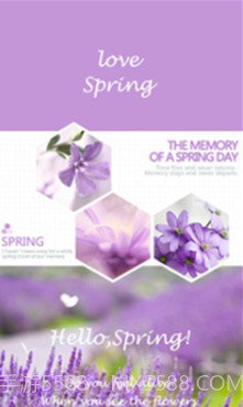 你好春天(你好春天壁纸软件)v3.5.14 正式版截图4 你好春天(你好春天壁纸软件)v3.5.14 正式版截图4