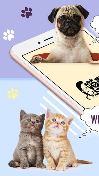 猫狗语翻译器免费版截图4 猫狗语翻译器免费版截图4