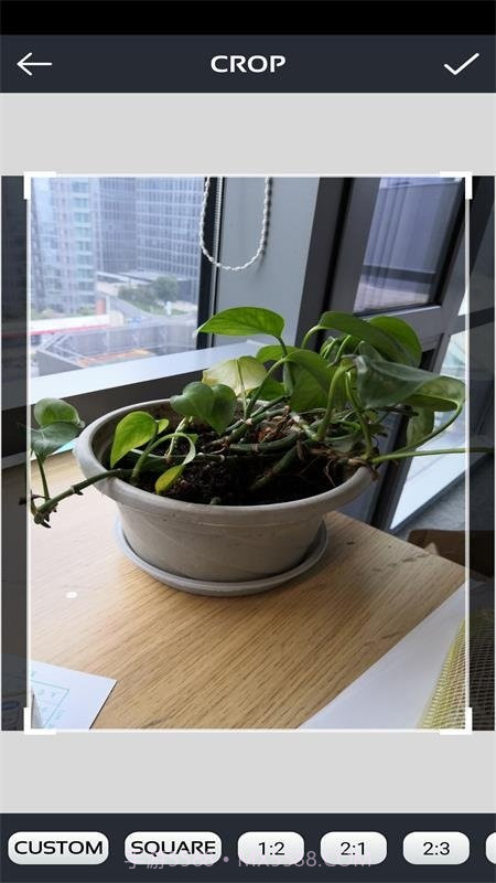 激发你的灵感截图3