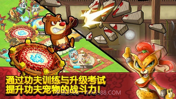 功夫宠物官方版截图3