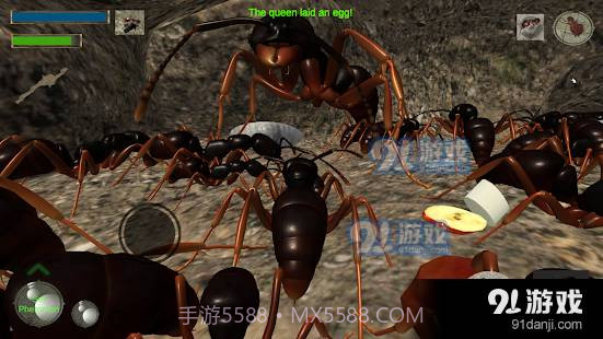 3d蚂蚁模拟器中文版截图4