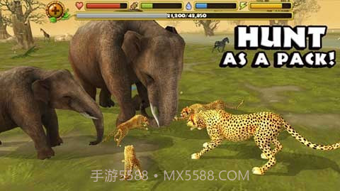 猎豹模拟器截图2