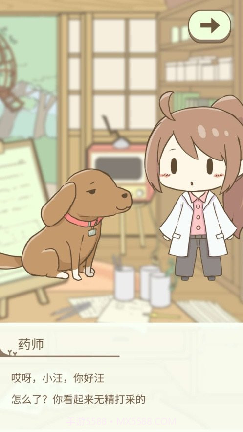 暖洋洋之森的药师最新版截图5