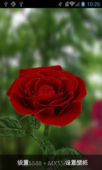 3D玫瑰动态壁纸截图2