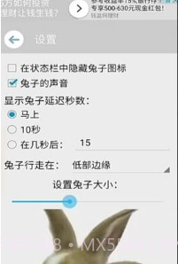 手机屏幕养兔子截图2 手机屏幕养兔子截图2