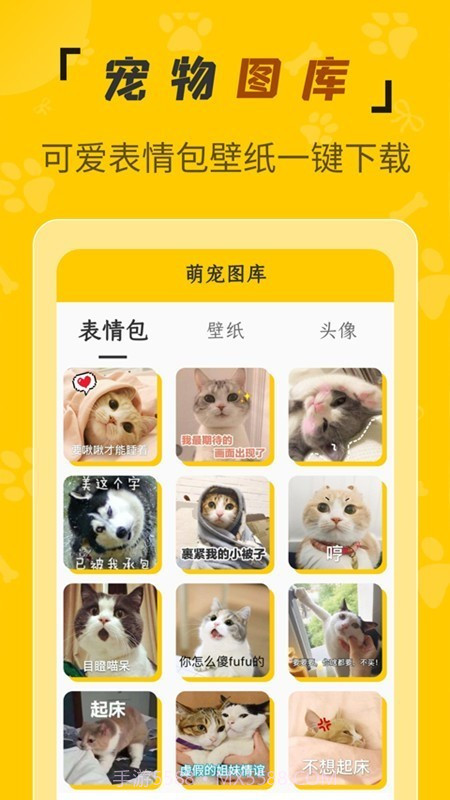 人猫翻译机截图2