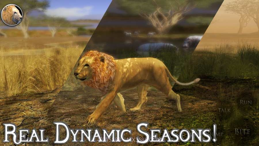 终极狮子模拟器无限经验截图1 终极狮子模拟器无限经验截图1