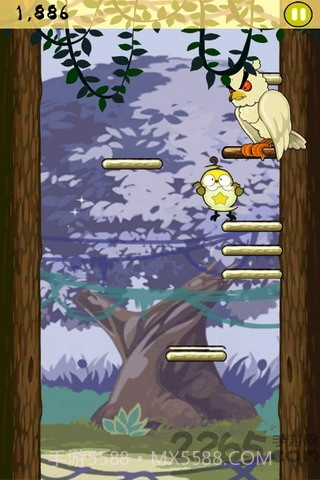 小鸟跳跳最新版截图3