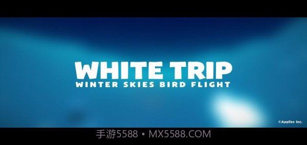 飞鸟最新版截图3