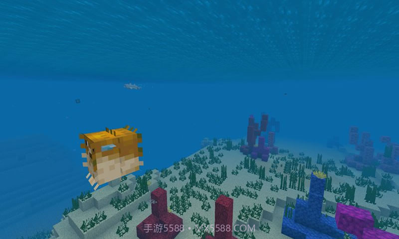 我的世界海洋免费版截图2