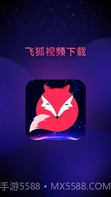 飞狐视频去水印截图5