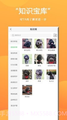 狗狗Bing商城截图4 狗狗Bing商城截图4