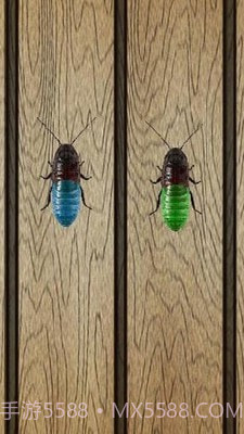 蟑螂终极淘汰赛截图4 蟑螂终极淘汰赛截图4