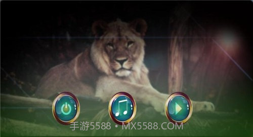 野生狮子2022截图2 野生狮子2022截图2