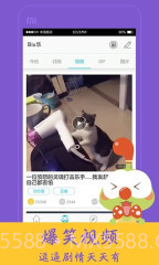 4399Biu乐截图1 4399Biu乐截图1