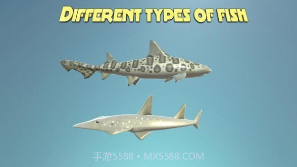 真正的鲨鱼模拟器截图1 真正的鲨鱼模拟器截图1