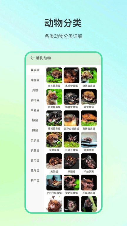 动物百科知识大全软件截图3 动物百科知识大全软件截图3