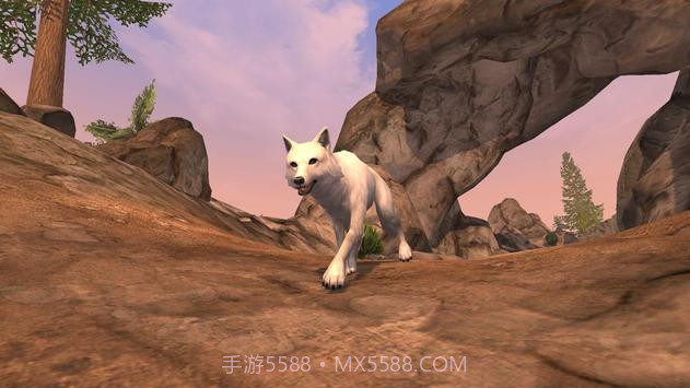 狼的故事家与心截图4 狼的故事家与心截图4