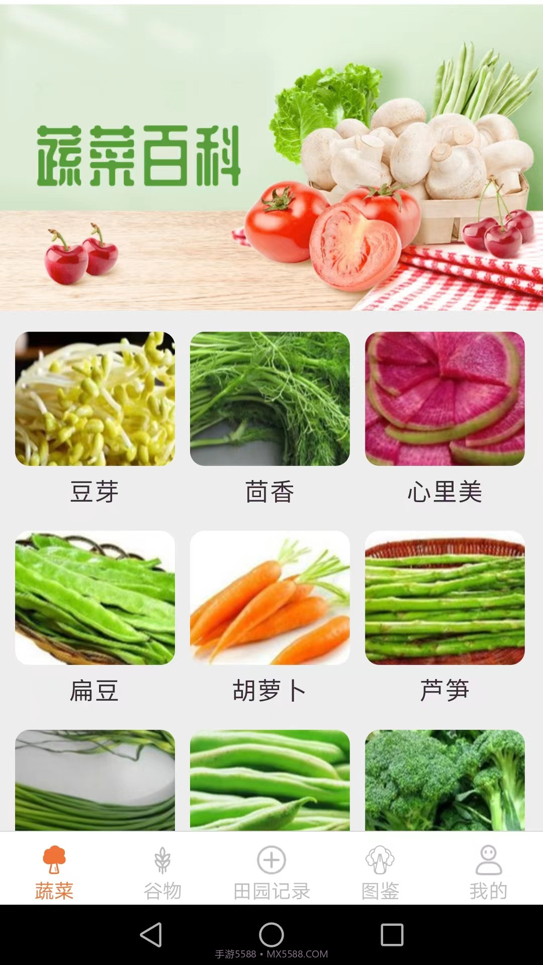 口袋田园截图3 口袋田园截图3