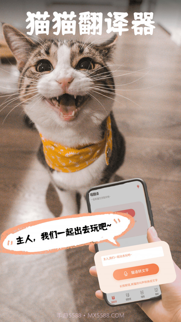 pet猫翻译截图1