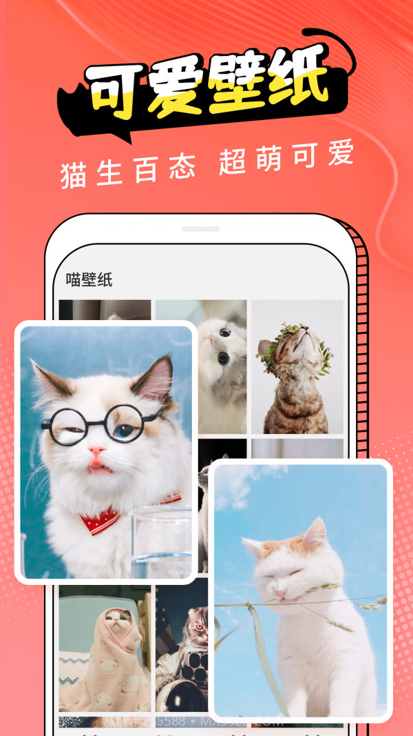 pet猫翻译截图3