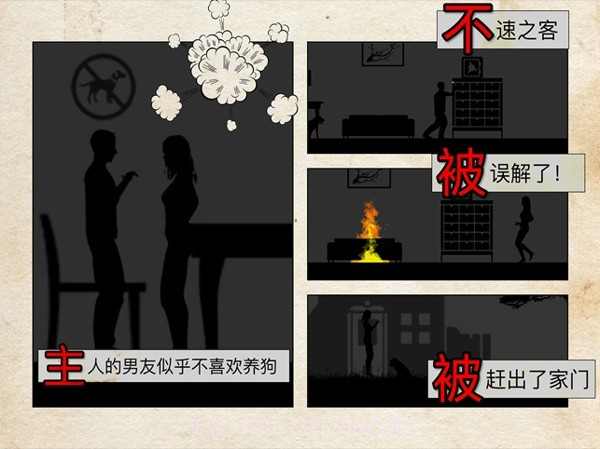 流浪狗的故事截图3 流浪狗的故事截图3