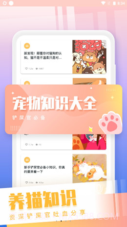 和猫对话截图3 和猫对话截图3