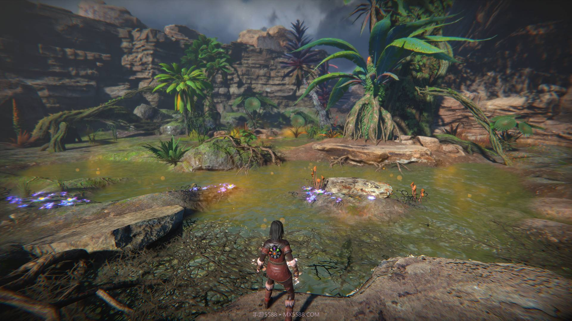 生命之种SeedofLife手机版截图1